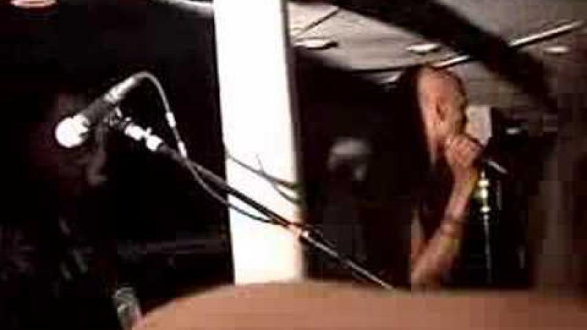 Preview image for the video "2007-05-03 Fishbone @ Rocks Off Boat Cruise - New York - NY United States (video-1874)".