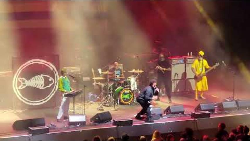 Preview image for the video "2023-08-17 Fishbone @ MGM Music Hall - Boston - MA United States (video-20576)".
