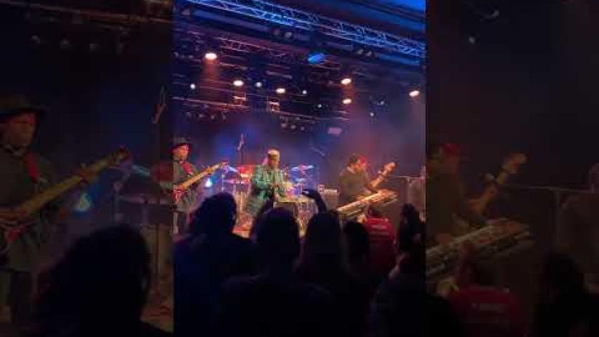 Preview image for the video "2025-05-02 Fishbone @ Le Nouveau Monde - Fribourg - Switzerland (video-22010)".