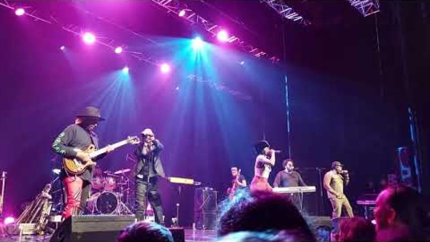 Preview image for the video "2025-05-04 Fishbone @ Paloma - Nimes - France (video-21912)".