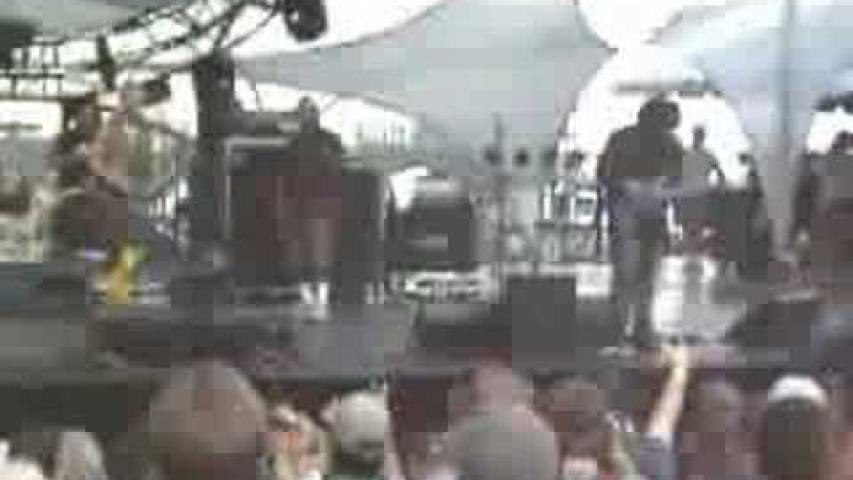 Preview image for the video "2008-08-30 Fishbone @ Moe.down Music Festival - Turin - NY United States (video-1954)".