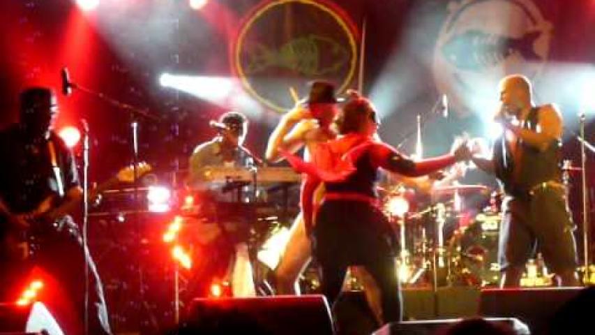 Preview image for the video "2009-06-27 Fishbone @ Musikair Festival - Montargis - France (video-2051)".