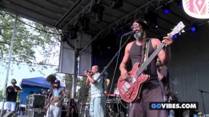 Preview image for the video "2013-07-28 Fishbone @ Gathering of The Vibes - Bridgeport - CT United States (video-2589)".