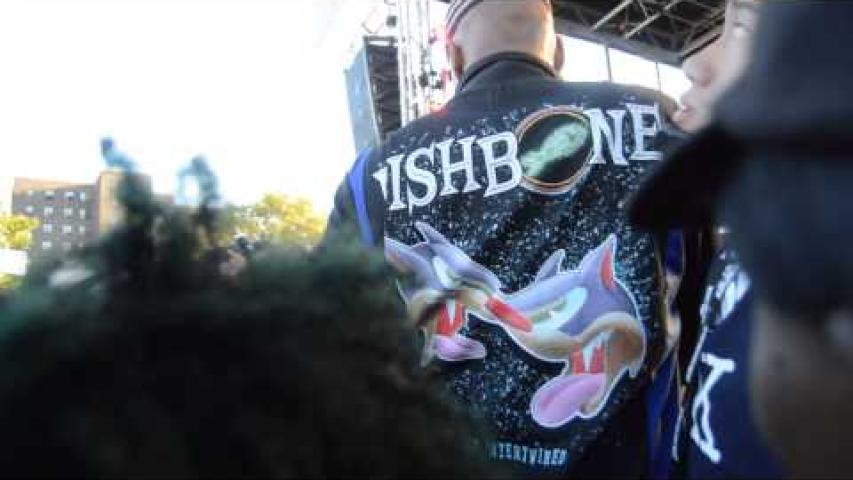 Preview image for the video "2014-08-24 Fishbone @ Afro-Punk Festival - Brooklyn - NY United States (video-2677)".