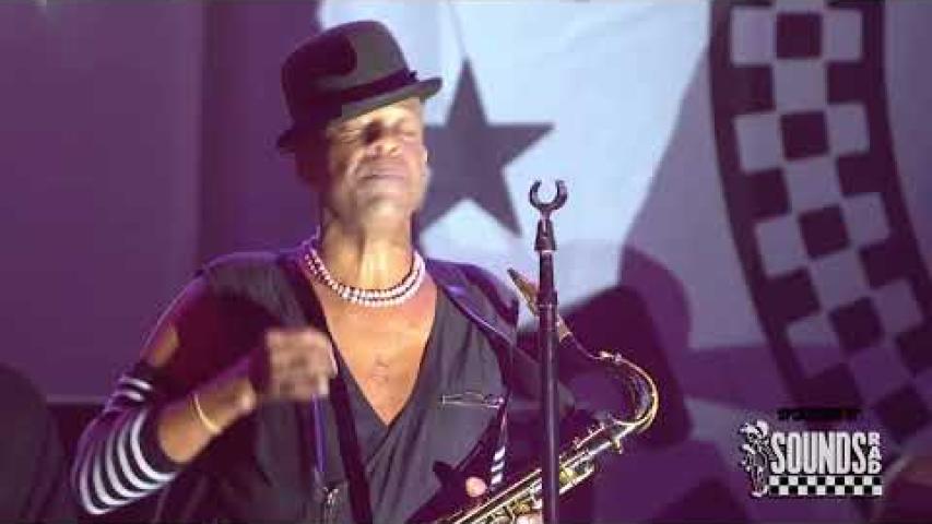 Preview image for the video "2023-09-15 Fishbone @ Patton Street Park - Fort Monroe - VA United States (video-20873)".