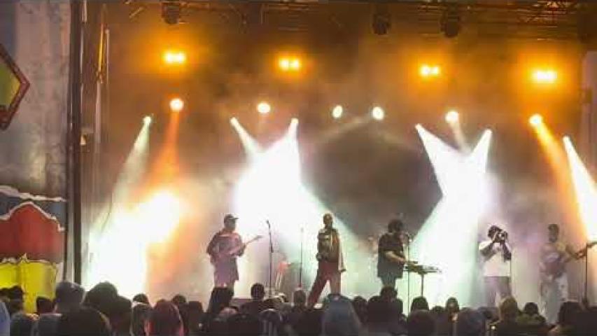 Preview image for the video "2025-06-15 Fishbone @ Festival Grounds - Washington - DC United States (video-22001)".