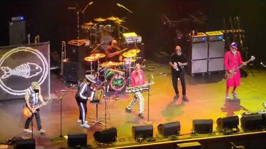 Preview image for the video "2023-11-25 Fishbone @ Fox Theater - Oakland - CA United States (video-21354)".