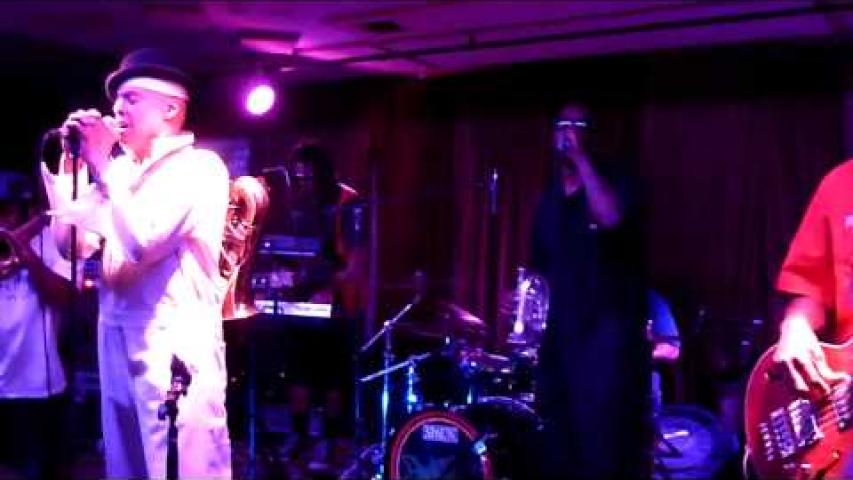 Preview image for the video "2015-08-01 Fishbone @ Zodiacs - Petaluma - CA United States (video-2842)".
