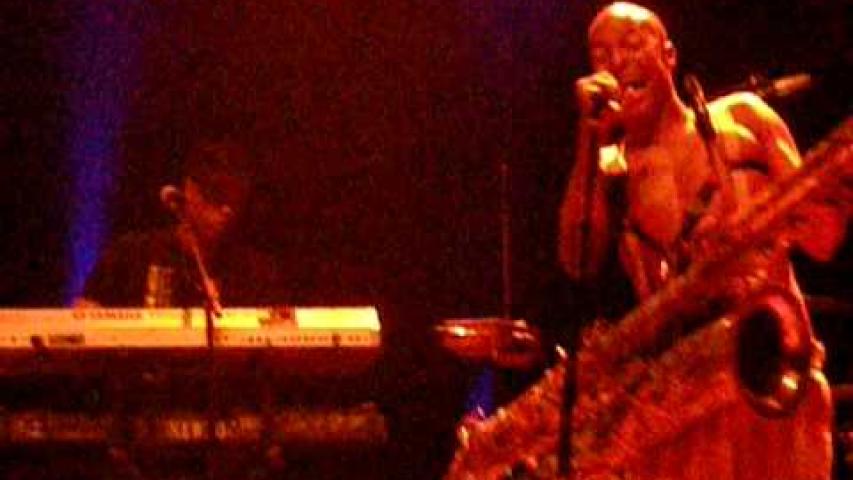 Preview image for the video "2009-06-25 Fishbone @ Bikini - Toulouse - France (video-2054)".