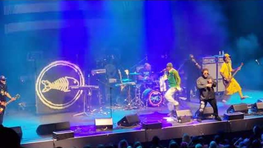 Preview image for the video "2023-08-17 Fishbone @ MGM Music Hall - Boston - MA United States (video-20575)".