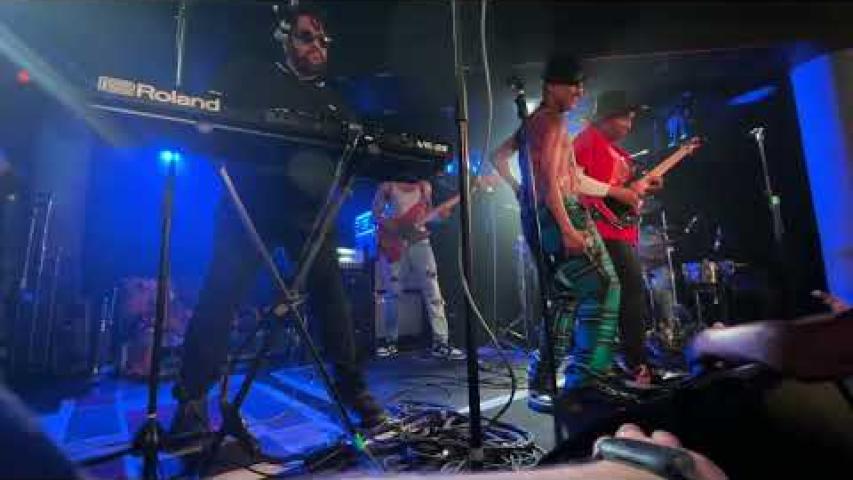 Preview image for the video "2025-05-11 Fishbone @ Underworld - London - United Kingdom (video-21945)".