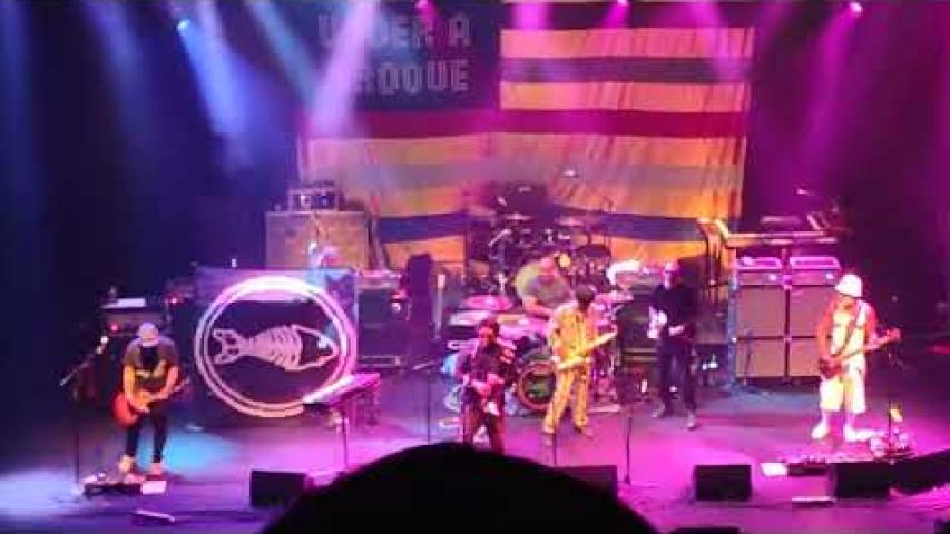 Preview image for the video "2023-08-18 Fishbone @ Capitol Theater - Port Chester - NY United States (video-20611)".