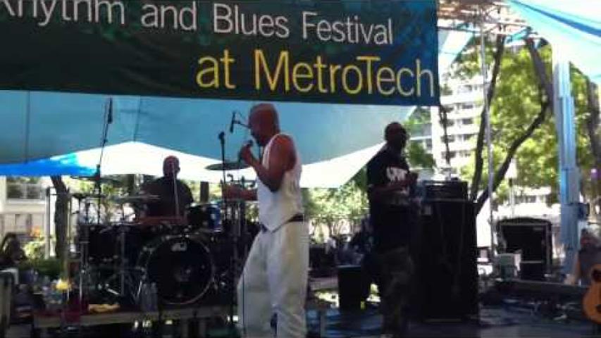 Preview image for the video "2012-06-28 Fishbone @ BAM R&amp;B Festival - Brooklyn - NY United States (video-2373)".