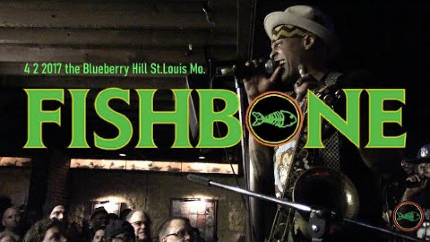 Preview image for the video "2017-04-02 Fishbone @ Duck Room at Blueberry Hill - St Louis - MO United States (video-20853)".