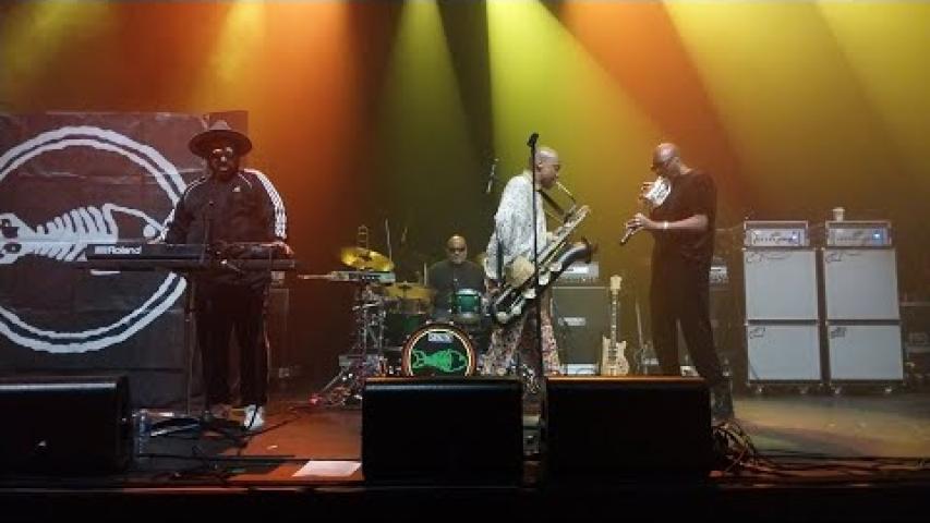 Preview image for the video "2023-11-24 Fishbone @ The Novo DTLA - Los Angeles - CA United States (video-20897)".