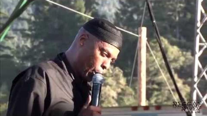 Preview image for the video "2014-08-01 Fishbone @ Reggae on The River - Garberville - CA United States (video-2785)".