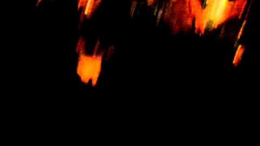 Preview image for the video "2011-02-23 Fishbone @ Martyrs' - Chicago - IL United States (video-2297)".