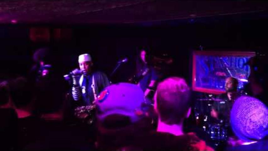 Preview image for the video "2014-12-27 Fishbone @ The Stanhope House - Stanhope - NJ United States (video-2768)".
