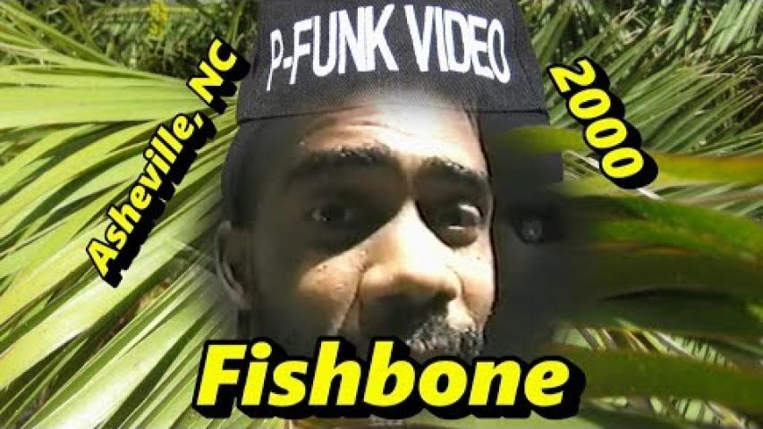 Preview image for the video "2000-05-02 Fishbone @ Stella Blue - Asheville - NC United States (video-3101)".